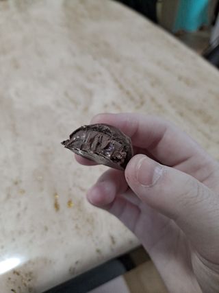 쏘쏘홀릭님이 올린 리뷰 사진 4