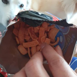 딸랑구둘🥰님이 올린 리뷰 사진 1
