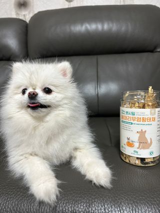 진님이 올린 리뷰 사진 1