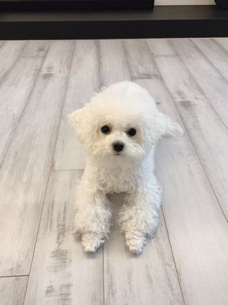 큐티윤님이 올린 리뷰 사진 4