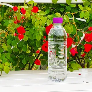 몽베스트 [MONTBEST]위드어스 500mL 20병 — 5점을 준 리뷰어가 2022년 6월 올린 사용 사진