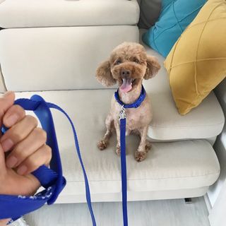 복깨비님이 올린 리뷰 사진 3