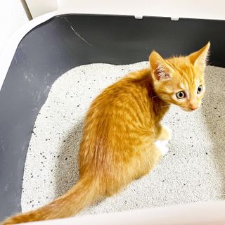 꾸준히님이 올린 리뷰 사진 4