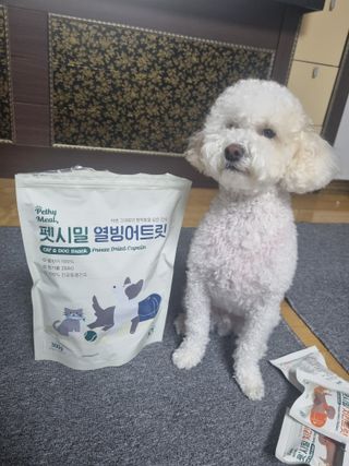 [펫시밀] 원물그대로 영양듬뿍 동결건조 왕북어트릿300g,왕치킨트릿400g,열빙어트릿300g 대용량 간식 — 5점을 준 리뷰어가 2023년 5월 올린 사용 사진