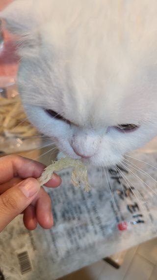 [오늘바스켓] 용대리 손질하늘태 130g — 5점을 준 리뷰어가 2021년 5월 올린 사용 사진