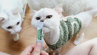 ㅎㅎ쩡님이 올린 리뷰 사진 2
