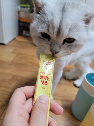 망고앤쮸🙋‍♀️님이 올린 리뷰 사진 2
