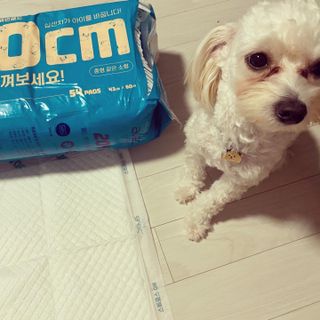 칸쵸님이 올린 리뷰 사진 2