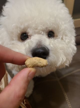 바다님이 올린 리뷰 사진 3