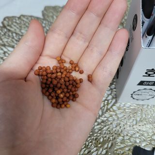 푸름웰니스 부아메라 프로폴리스 도라지 호흡편환 20포 — 5점을 준 리뷰어가 2022년 1월 올린 사용 사진