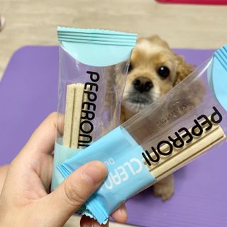 햄337님이 올린 리뷰 사진 4
