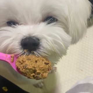 손땡구님이 올린 리뷰 사진 1