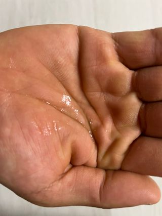 햄쓰님이 올린 리뷰 사진 4