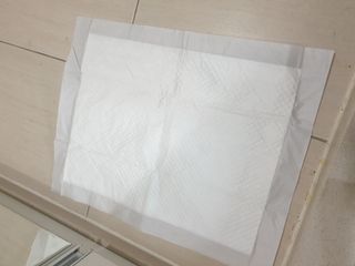 보리엄마님이 올린 리뷰 사진 3
