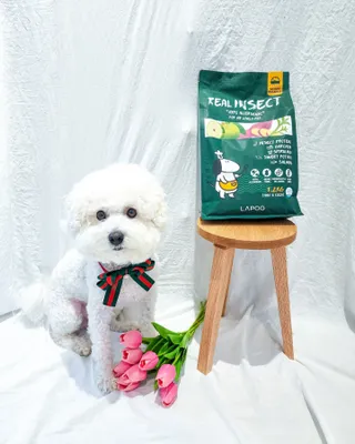 복숭아양♥0♥님이 올린 리뷰 사진 1