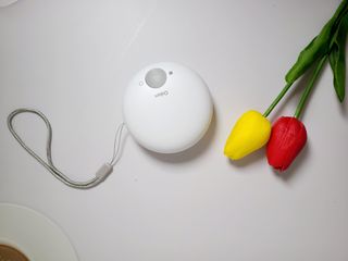채원님이 올린 리뷰 사진 2