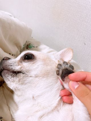 예지김님이 올린 리뷰 사진 4