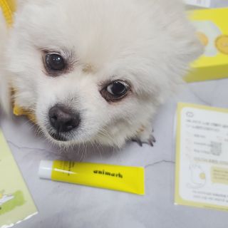 곰같은여우님이 올린 리뷰 사진 2