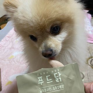 도그퓨어 푸드닭 강아지 닭고기 통살 애견간식 오리지널/차전자피/초록입홍합 — 5점을 준 리뷰어가 2021년 11월 올린 사용 사진