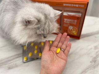 sunny님이 올린 리뷰 사진 4