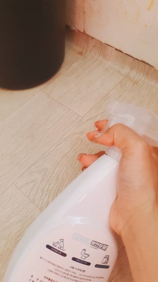 미진냥님이 올린 리뷰 사진 3