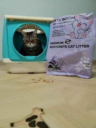 나초단맘님이 올린 리뷰 사진 1