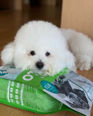 윤긍정님이 올린 리뷰 사진 4