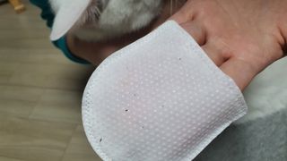 쩡이님이 올린 리뷰 사진 2