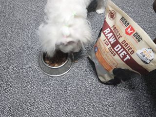 두부님이 올린 리뷰 사진 3