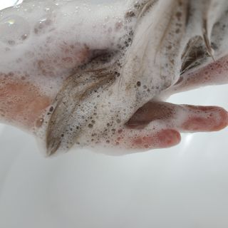 만두님이 올린 리뷰 사진 4