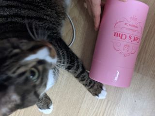 언니의호기심님이 올린 리뷰 사진 3