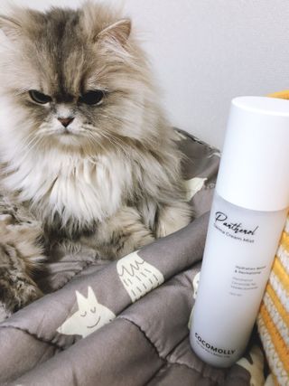 Goodbye 정전기, 코코몰리 판테놀 더마 크림 미스트 — 4.5점을 준 리뷰어가 2021년 2월 올린 사용 사진