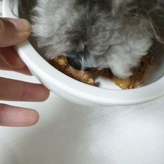 Cherish님이 올린 리뷰 사진 3