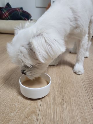 뽀오오옹님이 올린 리뷰 사진 1