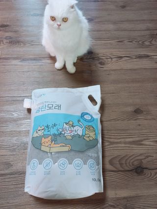 좋아님이 올린 리뷰 사진 4