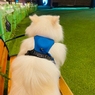 은공님이 올린 리뷰 사진 3
