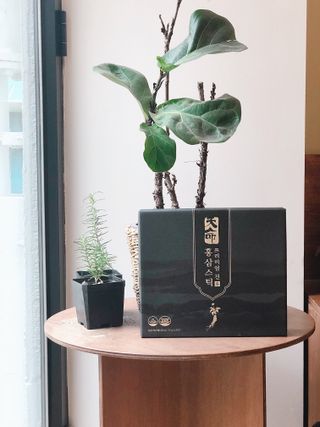 샤샤님이 올린 리뷰 사진 1