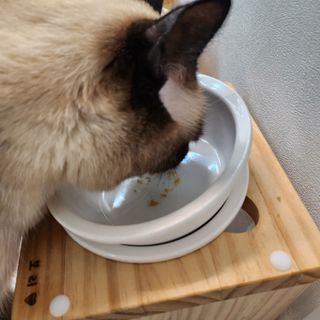 부우기님이 올린 리뷰 사진 2