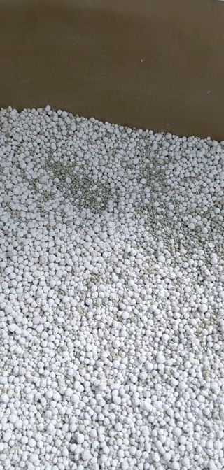 꼬꼬님이 올린 리뷰 사진 4