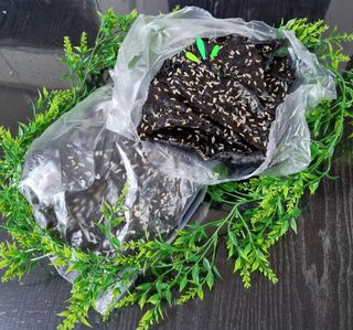 참살이님이 올린 리뷰 사진 2