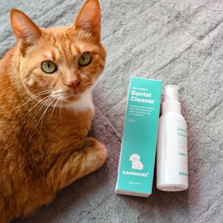 [댕모어 클리너 3종] 아이클리너 / 이어클리너 / 덴탈클리너 3종 세트 (120ml) — 5점을 준 리뷰어가 2023년 10월 올린 사용 사진