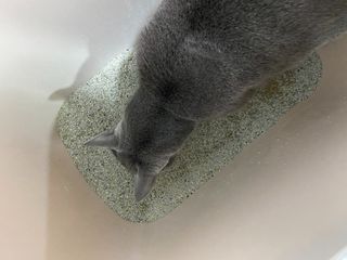 awedana님이 올린 리뷰 사진 4