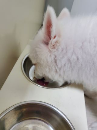 정꾸꾸님이 올린 리뷰 사진 1