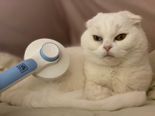 화이집사님이 올린 리뷰 사진 3