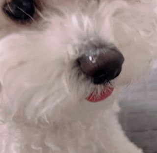 지윤정님이 올린 리뷰 사진 3