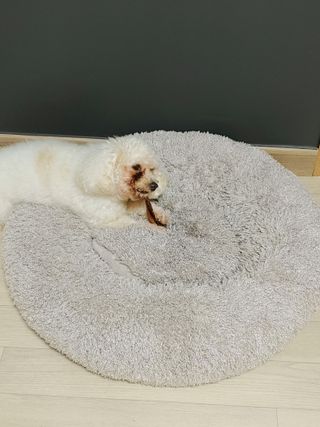 햇님달님님이 올린 리뷰 사진 4