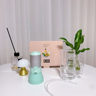 췌췌님이 올린 리뷰 사진 2