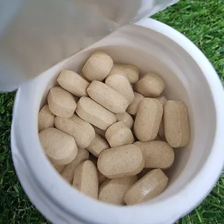 프리마인 평생 써야하는 관절의 건강을 위한 완벽설계 솔루션 관절n마디케어 플러스 120정 — 5점을 준 리뷰어가 2021년 10월 올린 사용 사진