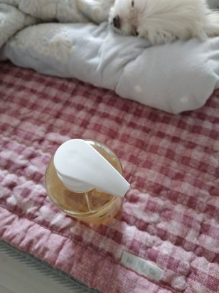 쮸동비님이 올린 리뷰 사진 3