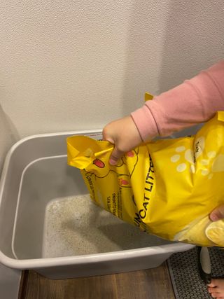 겟플렉스 켓플렉스 캣츠룸BS-1 고양이모래 4kg — 5점을 준 리뷰어가 2021년 1월 올린 사용 사진